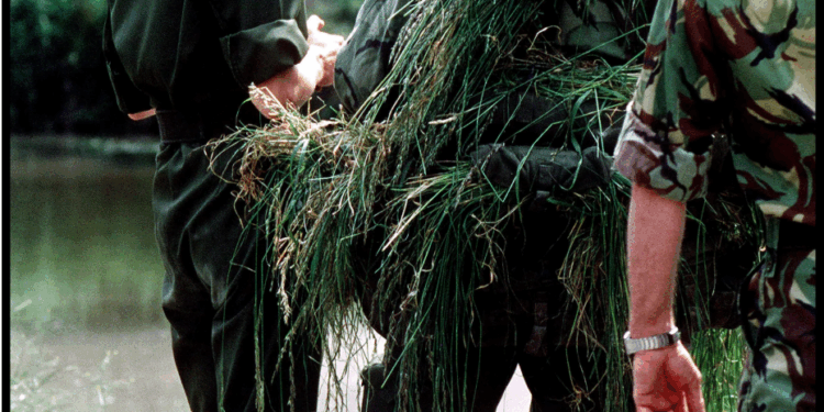 The ’80s Colorful Sneaker Trend Resurrects: A Clash of Retro Spirit and Modern Aesthetics