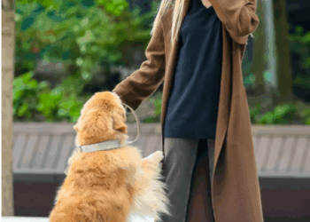 2025 Celebrity Dog-Walking Outfits: A Relaxed Dance of Fashion and Lifestyle