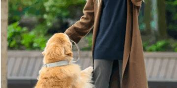2025 Celebrity Dog-Walking Outfits: A Relaxed Dance of Fashion and Lifestyle