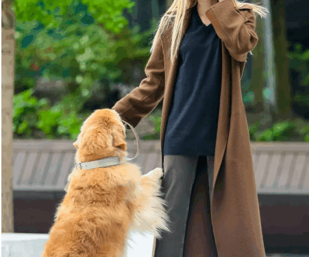 2025 Celebrity Dog-Walking Outfits: A Relaxed Dance of Fashion and Lifestyle